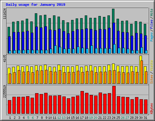 Daily usage for January 2019