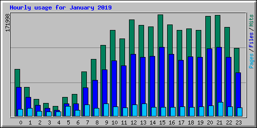 Hourly usage for January 2019