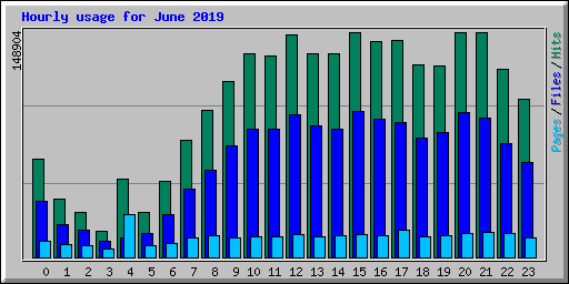 Hourly usage for June 2019