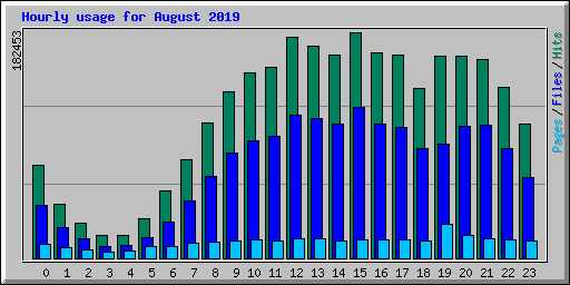 Hourly usage for August 2019